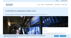 Desktop Screenshot of dychani.cz
